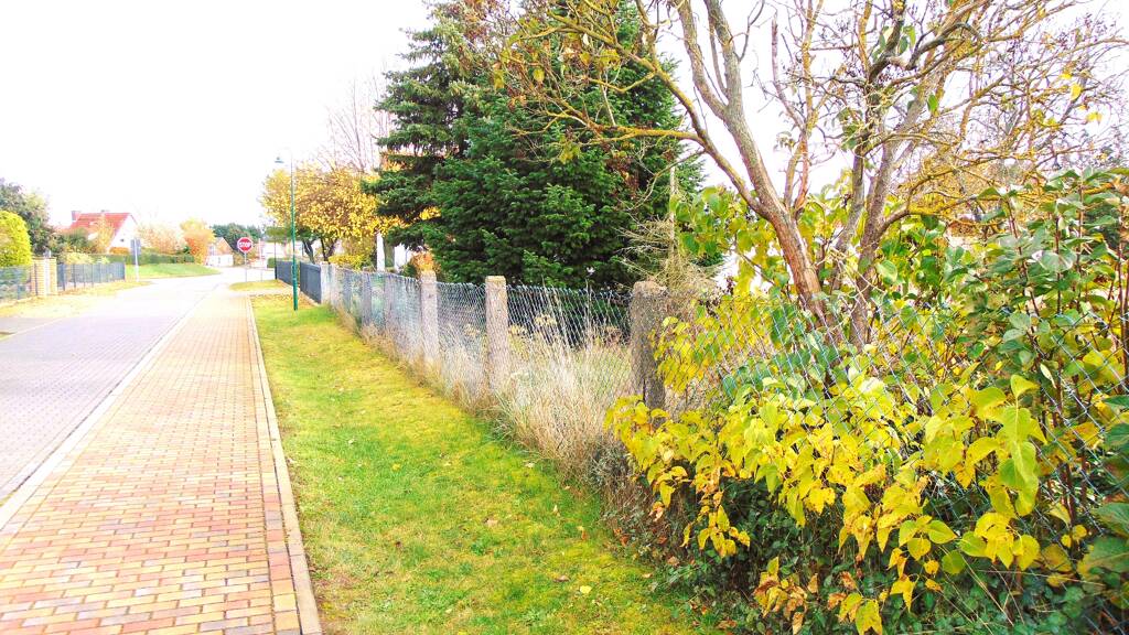 Grundstück zum Kauf 70.000 € 1.055 m² Grundstück Kirchweg 3 Mölbitz Doberschütz 04838