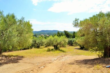 Land-/Forstwirtschaft zum Kauf 140.000 € 10.000 m² Grundstück Chalkidiki