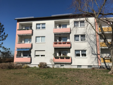 Wohnung zur Miete 560 € 3 Zimmer 62 m² 1. Geschoss frei ab 01.08.2025 Ludwig-Clemenz-Straße 59 Pfungstadt Pfungstadt 64319