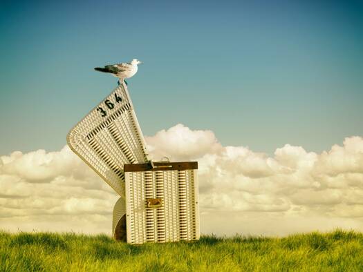 Wohnung zum Kauf - Erstbezug 299.000 € 2 Zimmer 73,7 m² Tossens Butjadingen / Tossens 26969