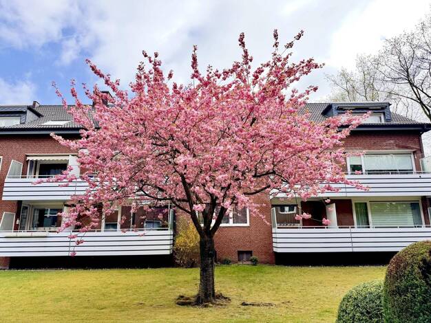 Wohnung zum Kauf provisionsfrei 495.000 € 4 Zimmer 98 m² EG Hummelsbüttel Hamburg 22339