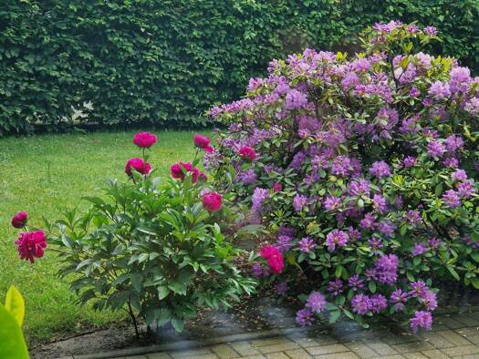 Wohnung zur Miete 990 € 2 Zimmer 90 m² frei ab 01.03.2026 Kaarst-Mitte Kaarst 41564