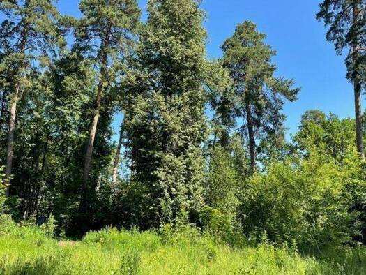 Grundstück zum Kauf 23.521.800 € 10.800 m² Grundstück Novoivanovskoye