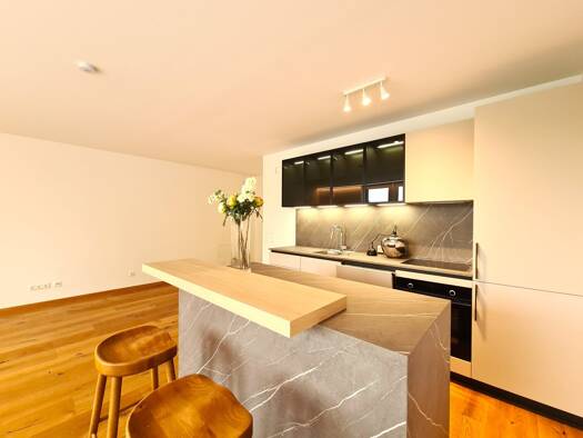 Terrassenwohnung zur Miete - Erstbezug 1.486 € 4 Zimmer 107,2 m² Pitten 2823