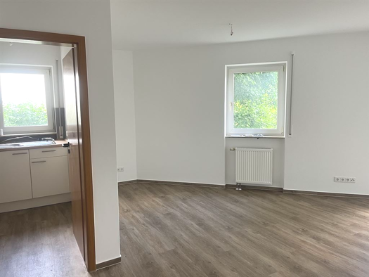 Wohnung zur Miete 400 € 1 Zimmer 38,4 m² frei ab sofort Wiederitzsch Leipzig 04356