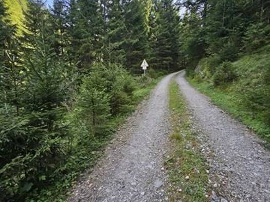 Forstwirtschaft zum Kauf 220.000 € Wegscheid Lenggries 83661