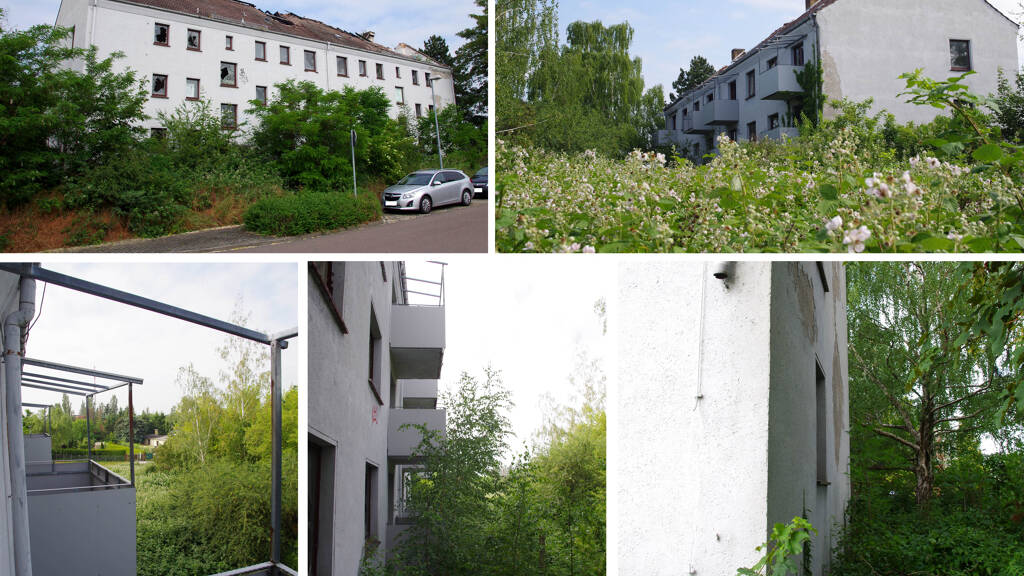 Grundstück zum Kauf 450.000 € 1.543 m² Grundstück Schkeuditz 04435