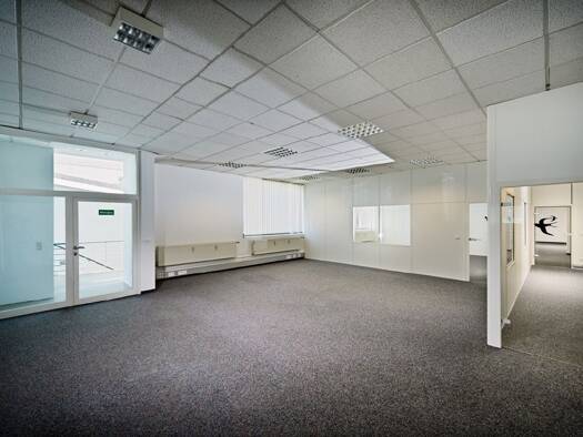 Bürofläche zur Miete provisionsfrei 8,50 € 850 m² Bürofläche Bergen-Enkheim Bergen-Enkheim 60388