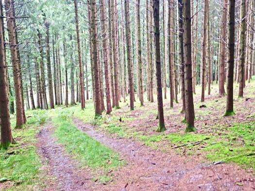 Land-/Forstwirtschaft zum Kauf 500.000 € 77.700 m² Grundstück Geiselloh Pleiskirchen 84568