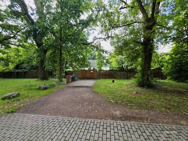 Einfamilienhaus zum Kauf 250.000 € 2 Zimmer 68,1 m² 1.005 m² Grundstück Greppiner Straße (Wolfen) 11 A Wolfen Bitterfeld-Wolfen 06766