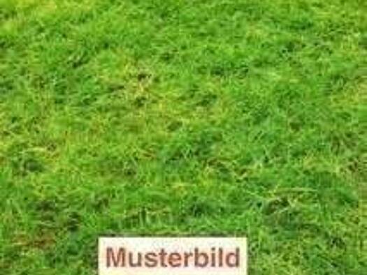 Grundstück zum Kauf 800.000 € 1.097 m² Grundstück Angelmodde Münster 48167