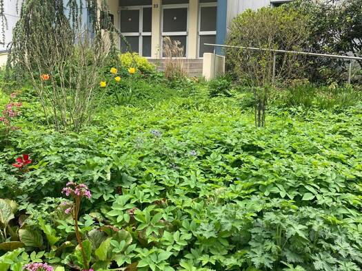 Wohnung zur Miete 340 € 1 Zimmer 24 m² frei ab sofort Würzburger Ring 33 Büchenbach Erlangen 91056