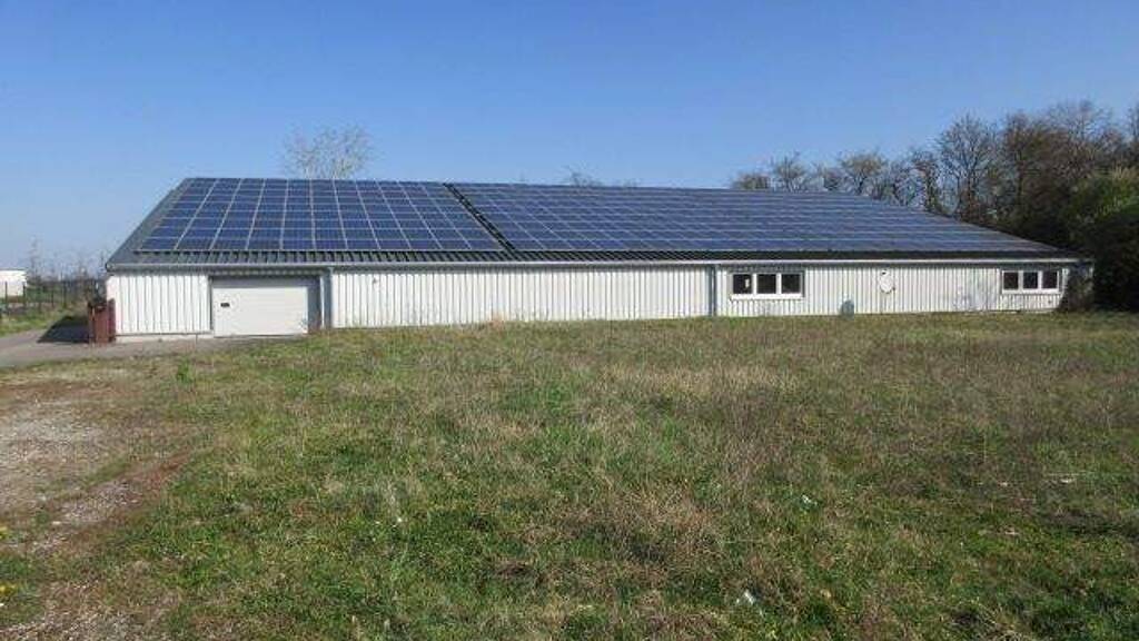 Lagerhalle zum Kauf provisionsfrei 780.000 € 425 m² Lagerfläche Tullastraße 2 Kenzingen 79341