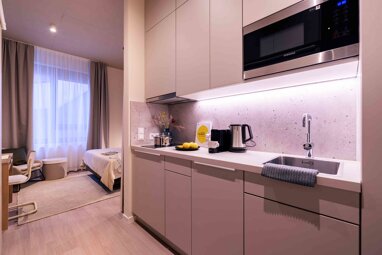 Wohnung zur Miete Wohnen auf Zeit 1.649 € 1 Zimmer 27 m² frei ab sofort Voltastraße Bockenheim Frankfurt am Main 60486