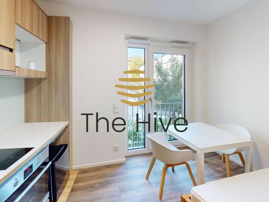 Wohnung zur Miete 650 € 1 Zimmer 22,4 m² 1. Geschoss Rosensteinstraße Nord Stuttgart 70191