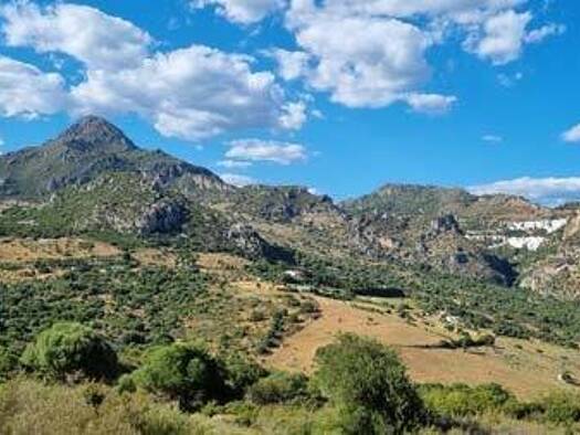 Grundstück zum Kauf 255.000 € 50.000 m² Grundstück Casares 29690