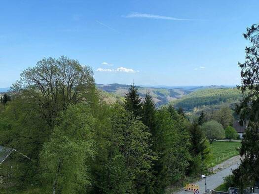 Wohnung zum Kauf 115.000 € 2 Zimmer 46 m² Winterberg 59955