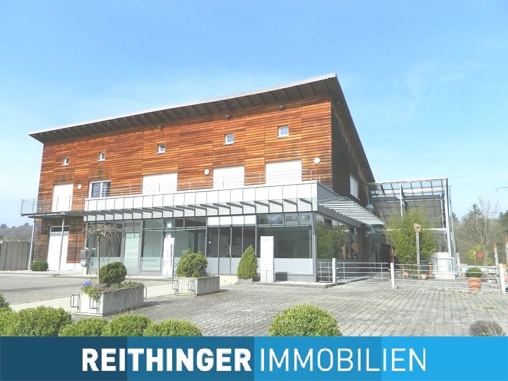 Wohn- und Geschäftshaus zum Kauf als Kapitalanlage geeignet 1.250.000 € 741 m²<br/>Fläche 1.162 m²<br/>Grundstück Hergau - Klinikum 11 Singen (Hohentwiel) 78224