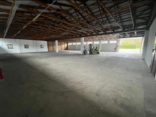 Lagerhalle zur Miete 2.100 € 700 m² Lagerfläche Waibstadt Waibstadt 74915
