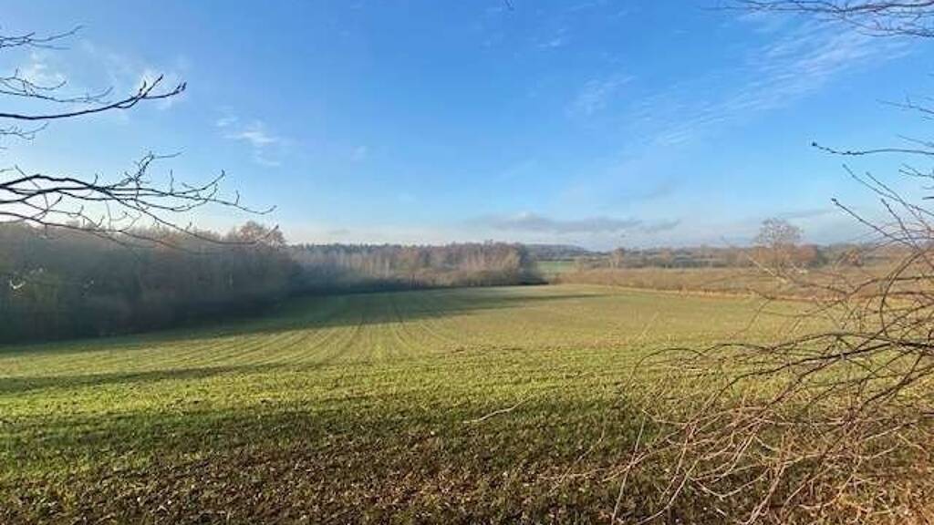 Grundstück zum Kauf 245.000 € 1.200 m² Grundstück Luschendorf 23689