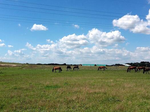 Einfamilienhaus zum Kauf provisionsfrei 690.000 € 3 Zimmer 115 m² 1.080 m² Grundstück Zossen 15806