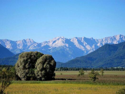 Mehrfamilienhaus zum Kauf provisionsfrei 2.200.000 € 1 Zimmer 441,4 m² 2.197 m² Grundstück Mühldörfl Farchant 82490