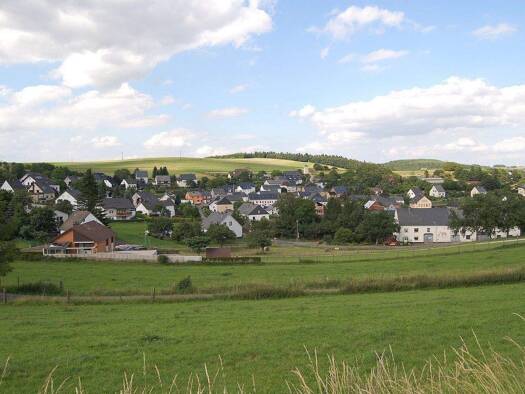 Grundstück zum Kauf 49.000 € 2.490 m² Grundstück Hinter der Gott Herl 54317