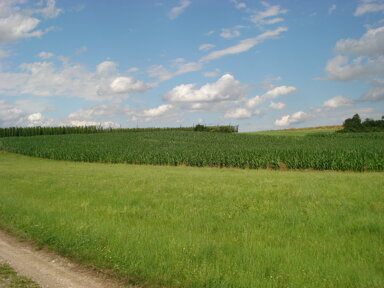 Landwirtschaftliche Fläche zur Versteigerung 180.000 € 13.428 m² 13.428 m² Grundstück Tegernbach Pfaffenhofen an der Ilm 85276