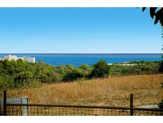 Acker-/Waldstück zum Kauf 1.100.000 € Manacor 07689