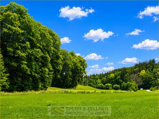 Land-/Forstwirtschaft zum Kauf 295.000 € 22.795 m² Grundstück Kirchstätt Sankt Wolfgang 84427