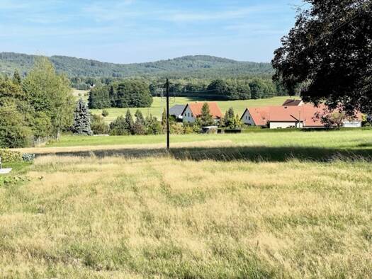 Grundstück zum Kauf 138.999 € 1.401 m² Grundstück Steina 01920