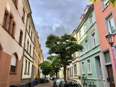 Wohnung zur Miete 1.200 € 3 Zimmer 66 m² Geschoss 2/3 Altstadt Konstanz 78462