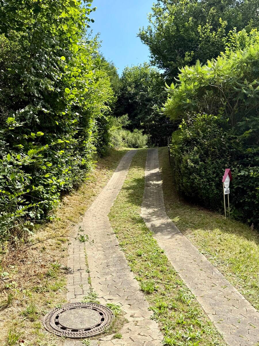 Immobilie in Walkenried - 2. Häuser in Alleinlage von 37445 Walkenried OT Wieda - Bild 2