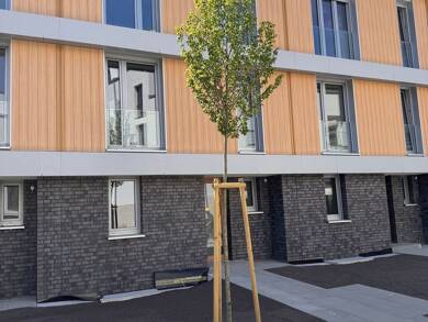Reihenmittelhaus zum Kauf - Erstbezug provisionsfrei 714.000 € 5 Zimmer 167 m² 167 m² Grundstück frei ab sofort Hannah-Ahrendt-Straße Ritschweier Weinheim 69469