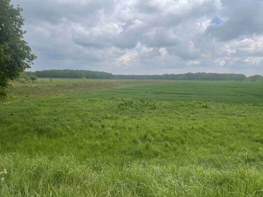 Land-/Forstwirtschaft zum Kauf provisionsfrei 353.000 € 528.000 m² Grundstück Gehrde 49596