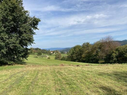 Grundstück zum Kauf provisionsfrei 900.000 € 1.458 m² Grundstück Wiehre Freiburg im Breisgau 79100