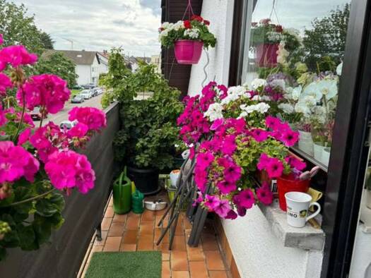 Wohnung zum Kauf provisionsfrei 279.000 € 3 Zimmer 88 m² Geschoss 2/3 frei ab sofort Heddesheim 68542