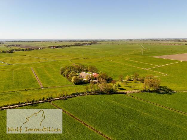 Bauernhaus zum Kauf 1.090.000 € 10 Zimmer 489 m² 20.328 m² Grundstück Esenshamm Nordenham 26954