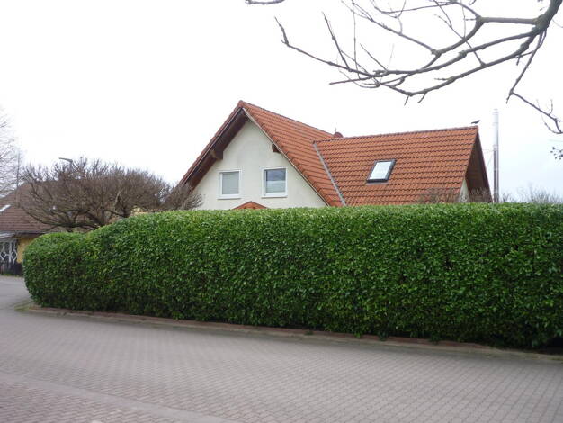 Einfamilienhaus zum Kauf provisionsfrei 649.500 € 6 Zimmer 162 m² 458 m² Grundstück Udenheim 55288