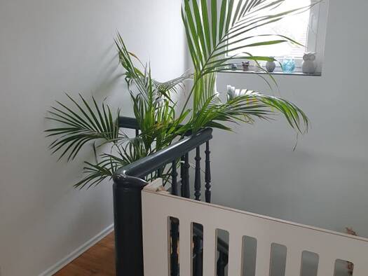 Maisonette zur Miete 840 € 3 Zimmer 80 m² Geschoss 2/3 frei ab sofort Merscheid Solingen 42699