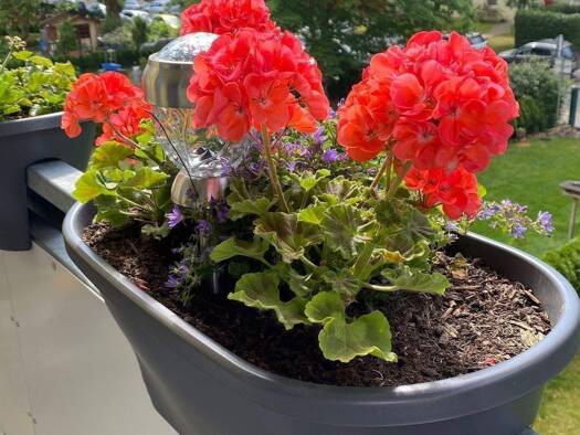 Maisonette zum Kauf 585.500 € 3 Zimmer 103 m² Friedrichsfelde Berlin 10319