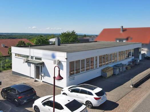 Lagerhalle zur Miete 4,27 € 216 m² Lagerfläche Malsch 69254