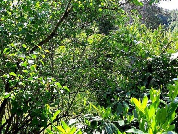 Haus zur Miete Wohnen auf Zeit 4 Zimmer 120 m² frei ab 01.03.2026 Beutelsbach Weinstadt 71384