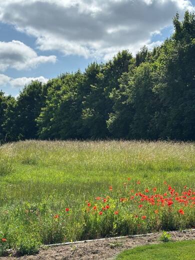 Grundstück zum Kauf 420.000 € 1.100 m² Grundstück Niederwerrn Niederwerrn 97464