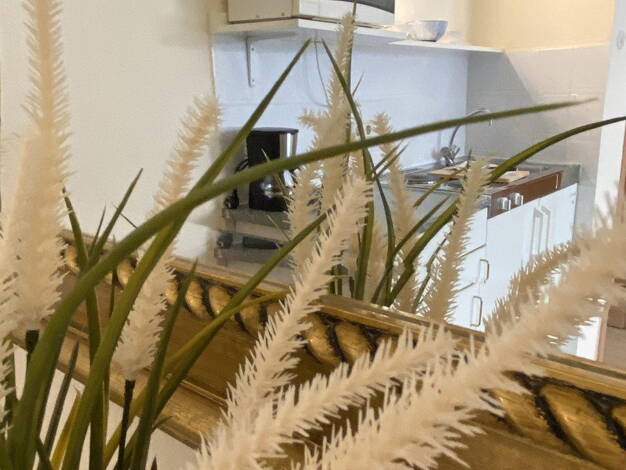 Studio zur Miete 850 € 1 Zimmer 27 m² Cantadorstr. 21 Stadtmitte Düsseldorf 40211