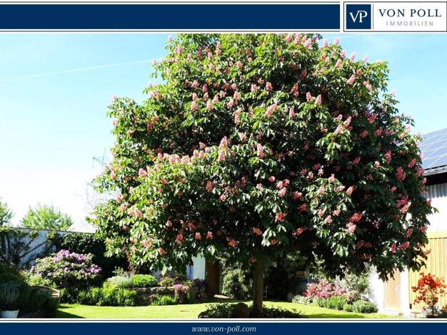 Einfamilienhaus zum Kauf 1.250.000 € 7 Zimmer 220 m² 15.143 m² Grundstück Limburg Limburg an der Lahn / Eschhofen 65552