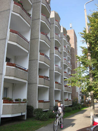 Wohnung zur Miete 266 € 1 Zimmer 35,5 m² 1. Geschoss frei ab 01.06.2025 Lindenstraße 17 Anklam Anklam 17389