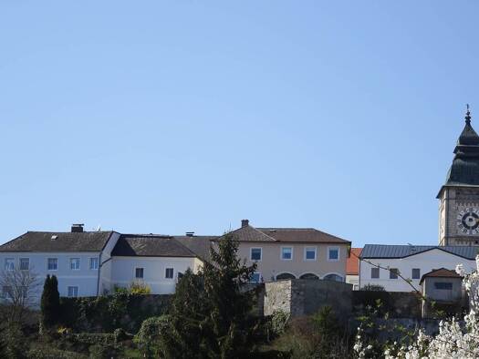 Mehrfamilienhaus zum Kauf 590.000 € 9 Zimmer 328 m² 330 m² Grundstück frei ab sofort Enns 4470