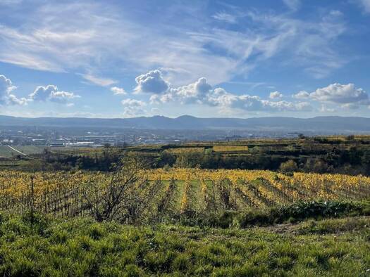 Land-/Forstwirtschaft zum Kauf 32.000 € 1.063 m² Grundstück Krems an der Donau Krems an der Donau 3500