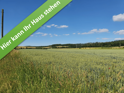 Bungalow zum Kauf - Erstbezug provisionsfrei 351.250 € 6 Zimmer 130,3 m² 659 m² Grundstück Am Sweenhof Münchehof Seesen 38723